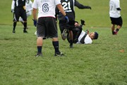 OTFL Gallery Image